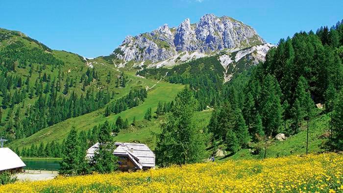 Albergo Spina بونتيبا المظهر الخارجي الصورة